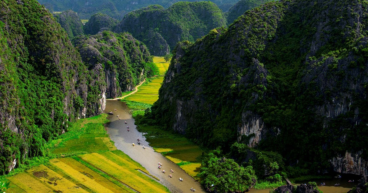 API Test BONB Ninh Binh Vietnam