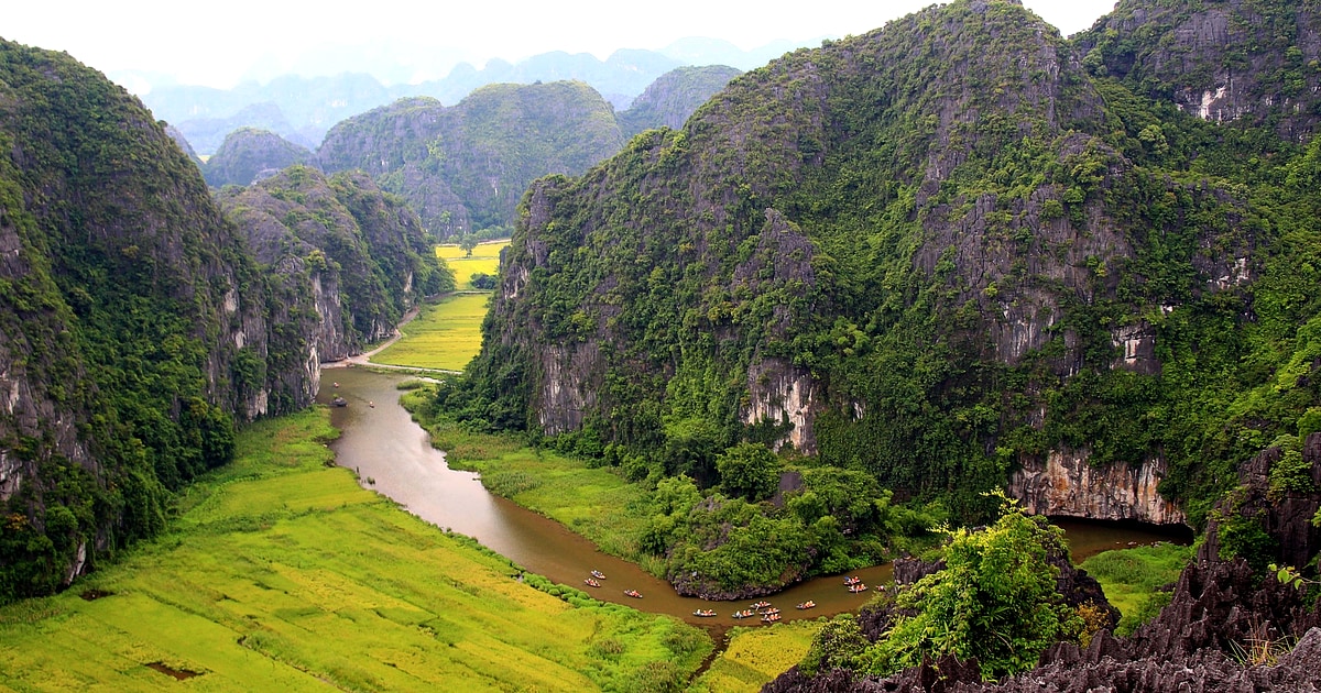 Ninh Binh Lotus Season When Where to See Lotus Flowers