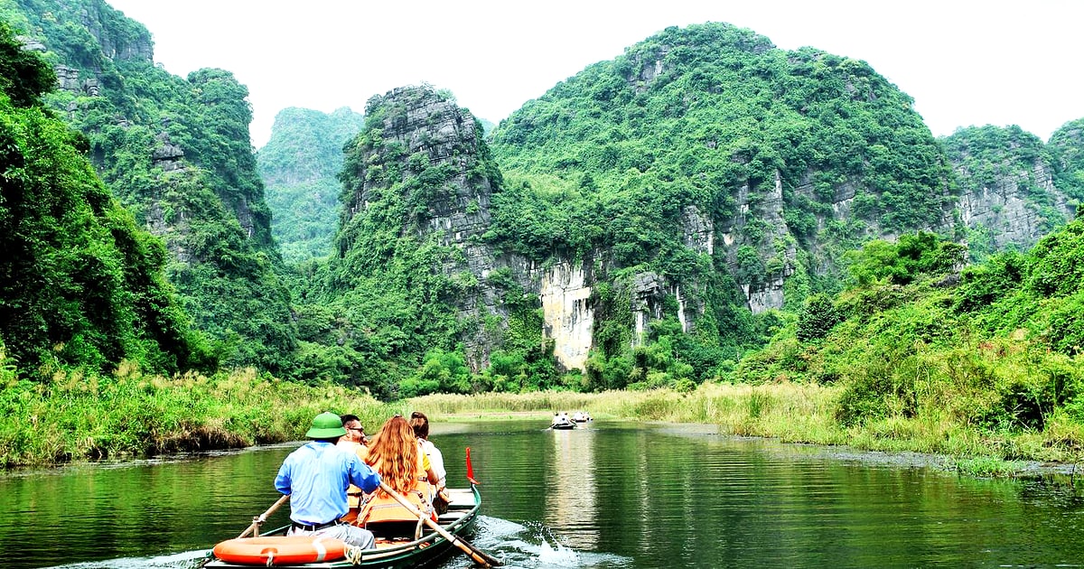 Cuc Phuong National Park Primates, Ancient Trees Trekking Guide Ninh Binh Vietnam
