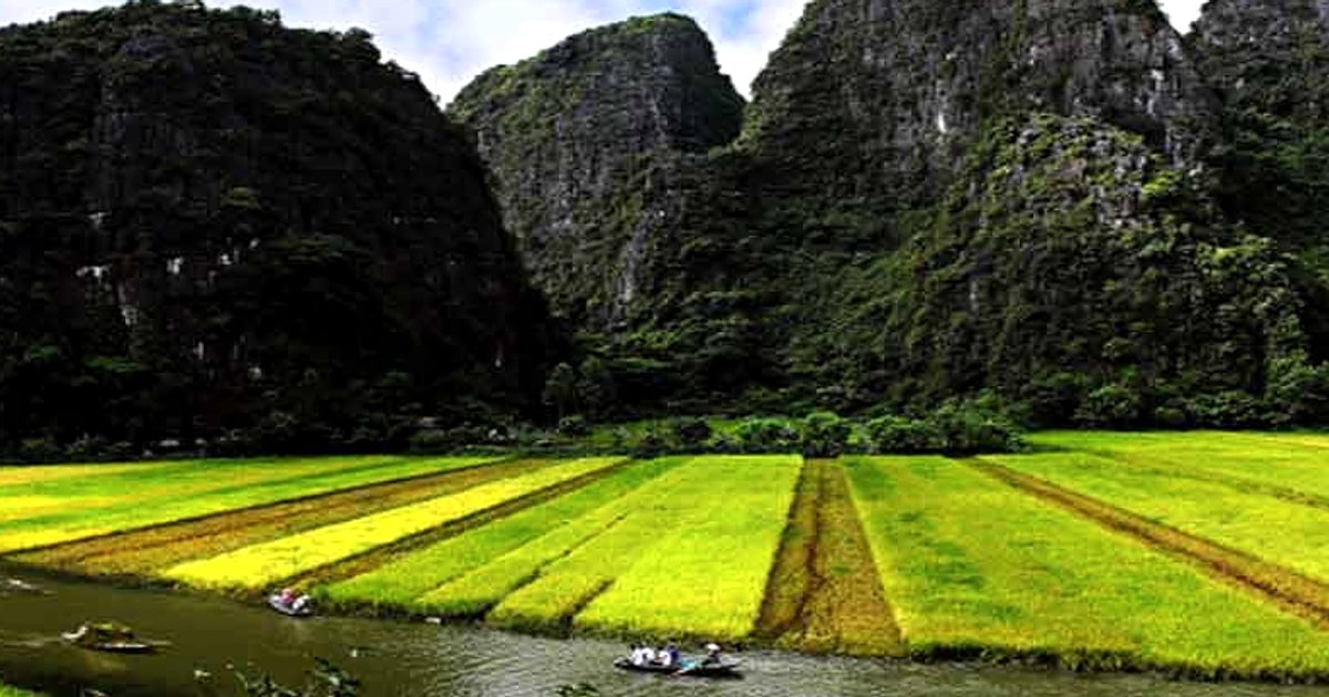 Ninh Binh vs Halong Bay Which Karst Landscape Should You Choose?