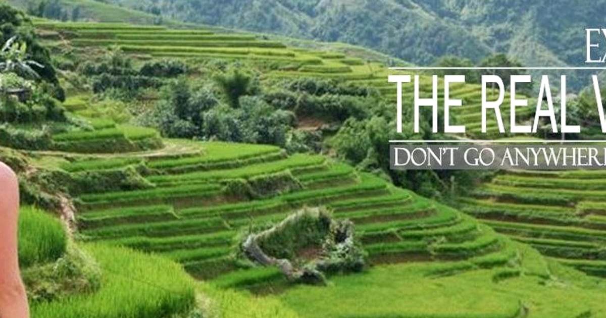 Ninh Binh Cycling Guide Best Routes, Rental Scenic Loops