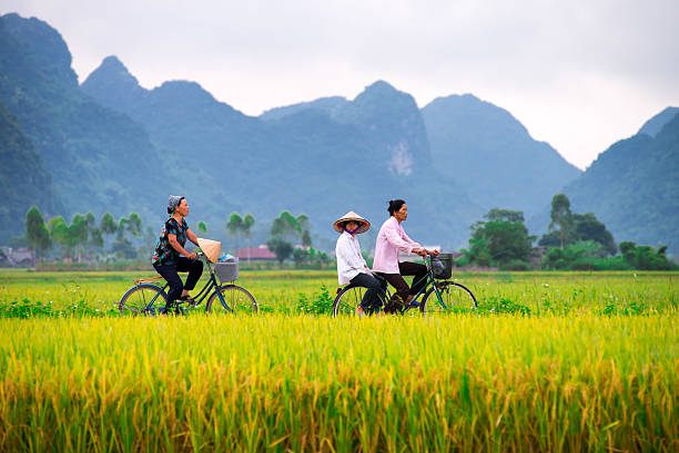 Getting Around Ninh Binh: Local Transport Guide 2026