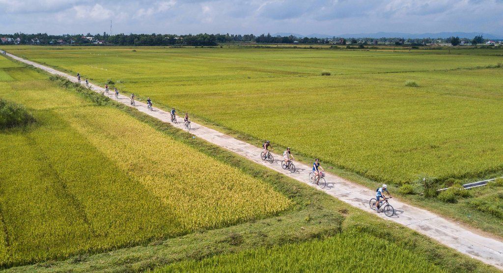 Getting Around Ninh Binh: Local Transport Guide 2026 Cycling through rice paddies near Tam Coc in Ninh Binh