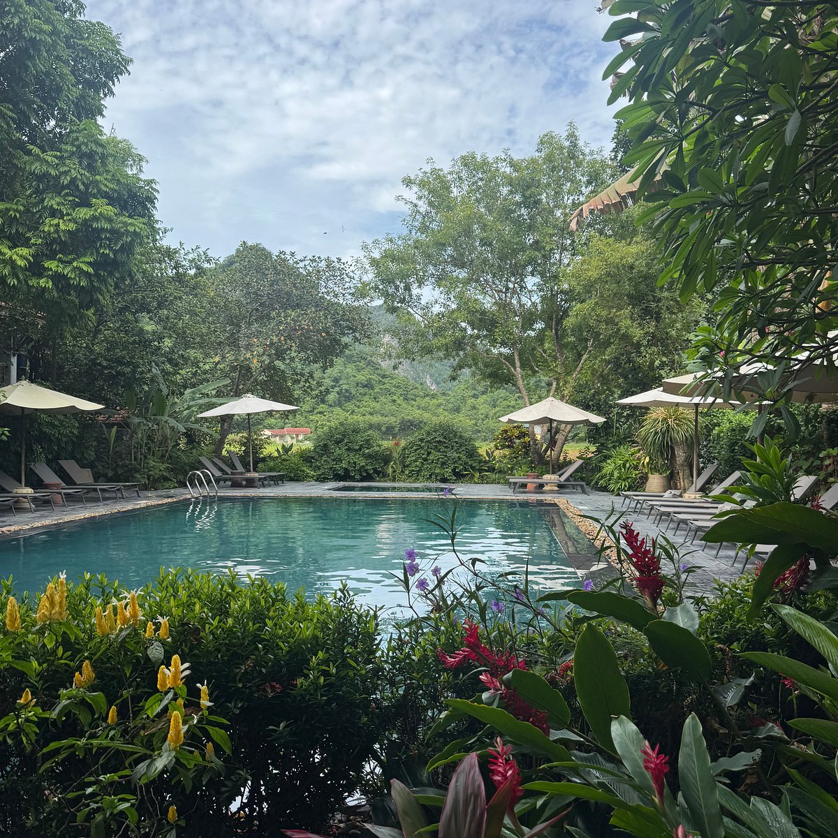 Hotel swimming pool with karst view Ninh Binh