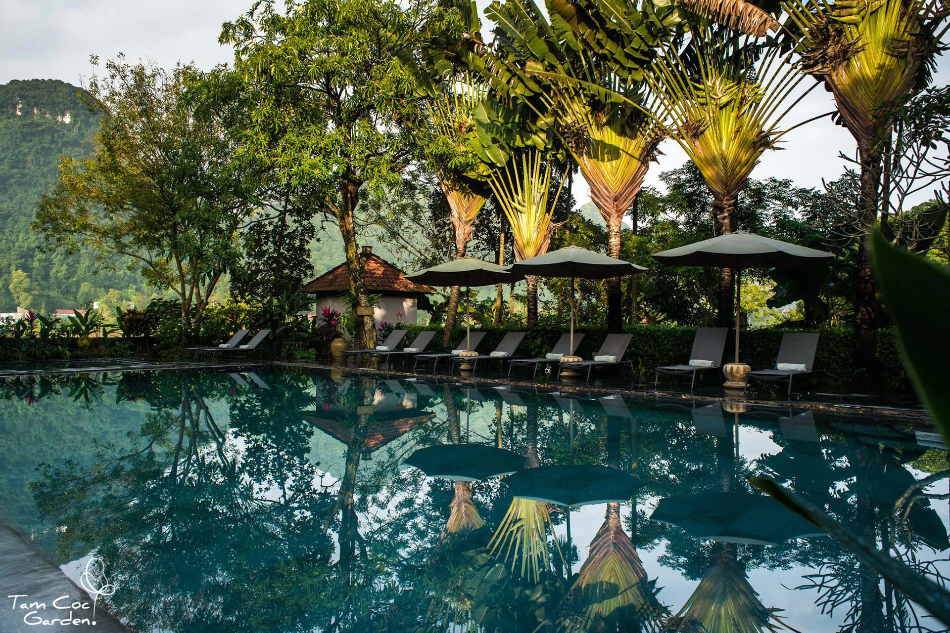 Ninh Binh Hotels With Pool: Where to Cool Off Among the Karsts (2026) Tam Coc Garden Resort pool mountain backdrop