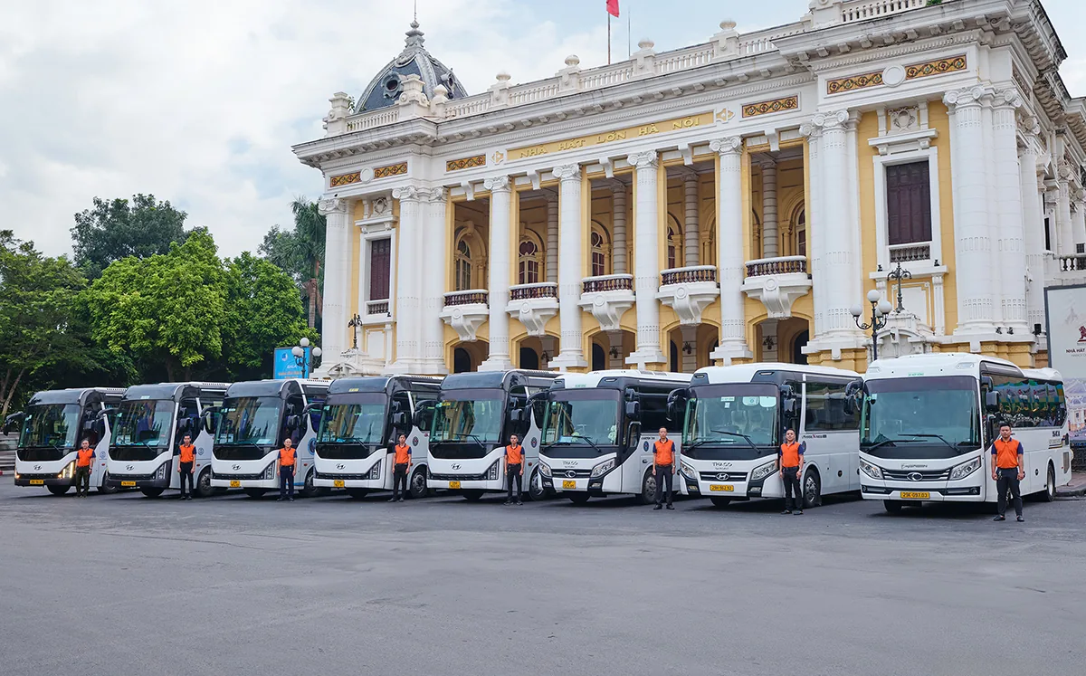 Limousine bus fleet used for Ha Long to Ninh Binh transfers