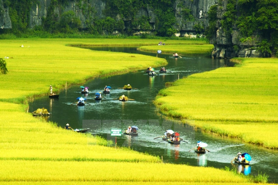 Ninh Binh FAQ 2026 25 Essential Questions Answered by a Resident Historian - destination