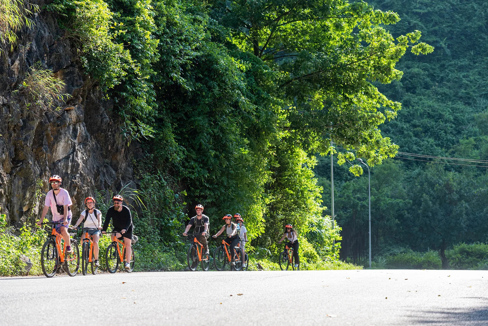 Ninh Binh Lotus Season 2026 When 038 Where to See Lotus Flowers - trekking landscape