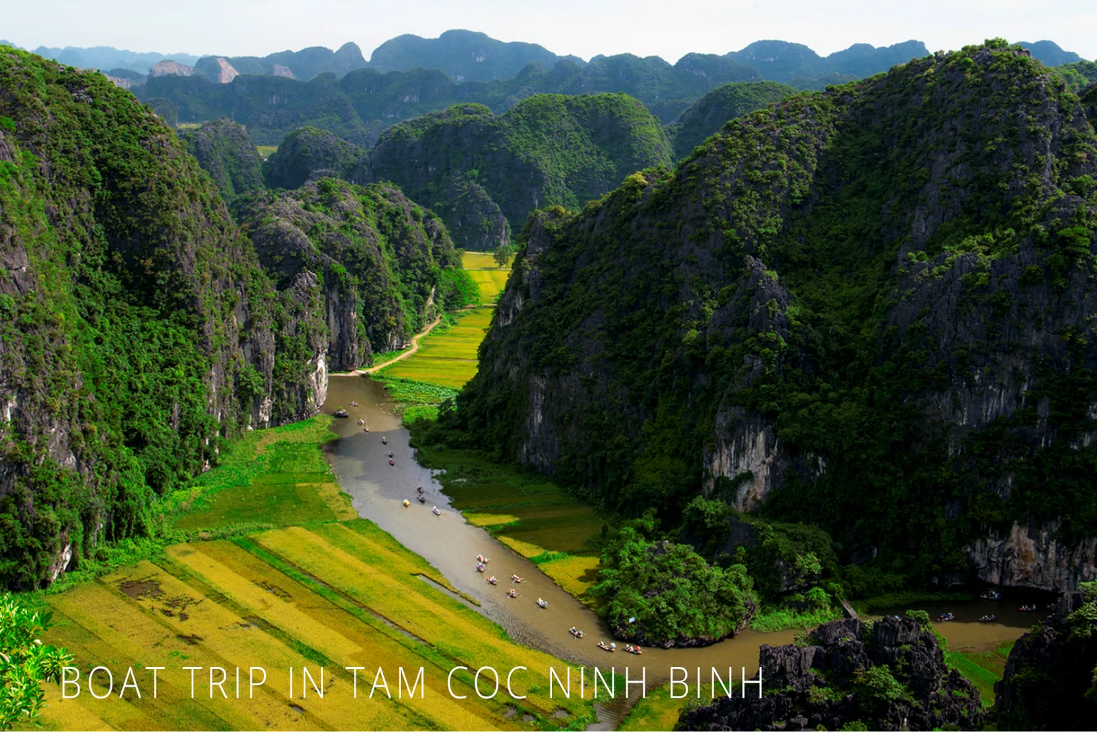 Sampan boat ride through Tam Coc's limestone karst valley, Ninh Binh