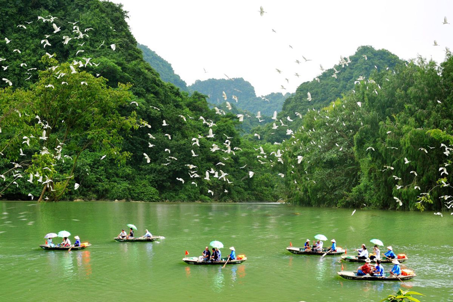 Where to Stay in Ninh Binh 2026 Best Areas Hotels 038 Booking Guide - destination